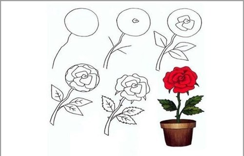 Hướng dẫn trẻ vẽ cây hoa hồng